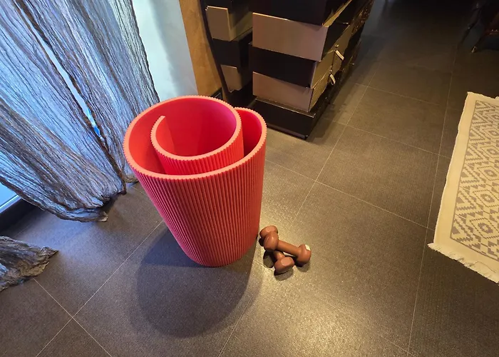 Cocus 巴莱斯特拉泰